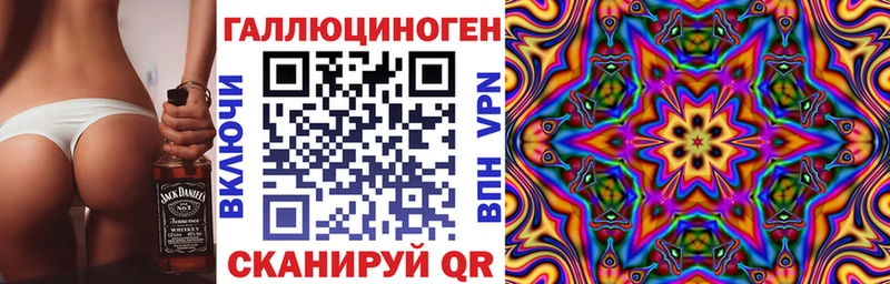 Псилоцибиновые грибы Psilocybe  Заозёрск 
