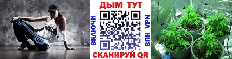Каннабис конопля  продажа наркотиков  Заозёрск 